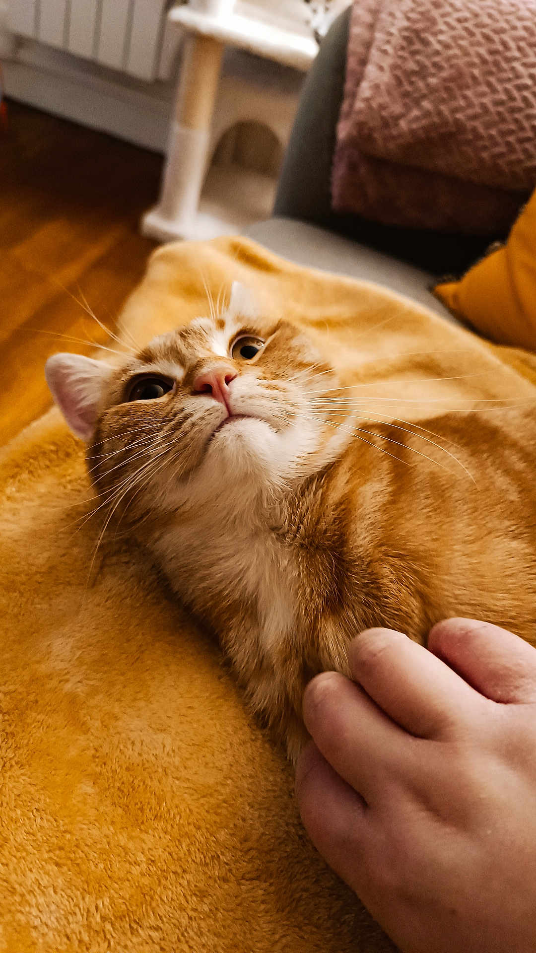Simba