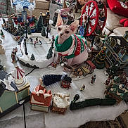 Pierogi is registered to the contest to win money with this photo: animal, cat, christmas_tree, decorations, ferris_wheel, festive, figurines, hairless_cat, holiday_decor, ice_skaters, indoor, living_room, miniature_village, pillow, snow, sofa, sweater, table, toys, winter_scene