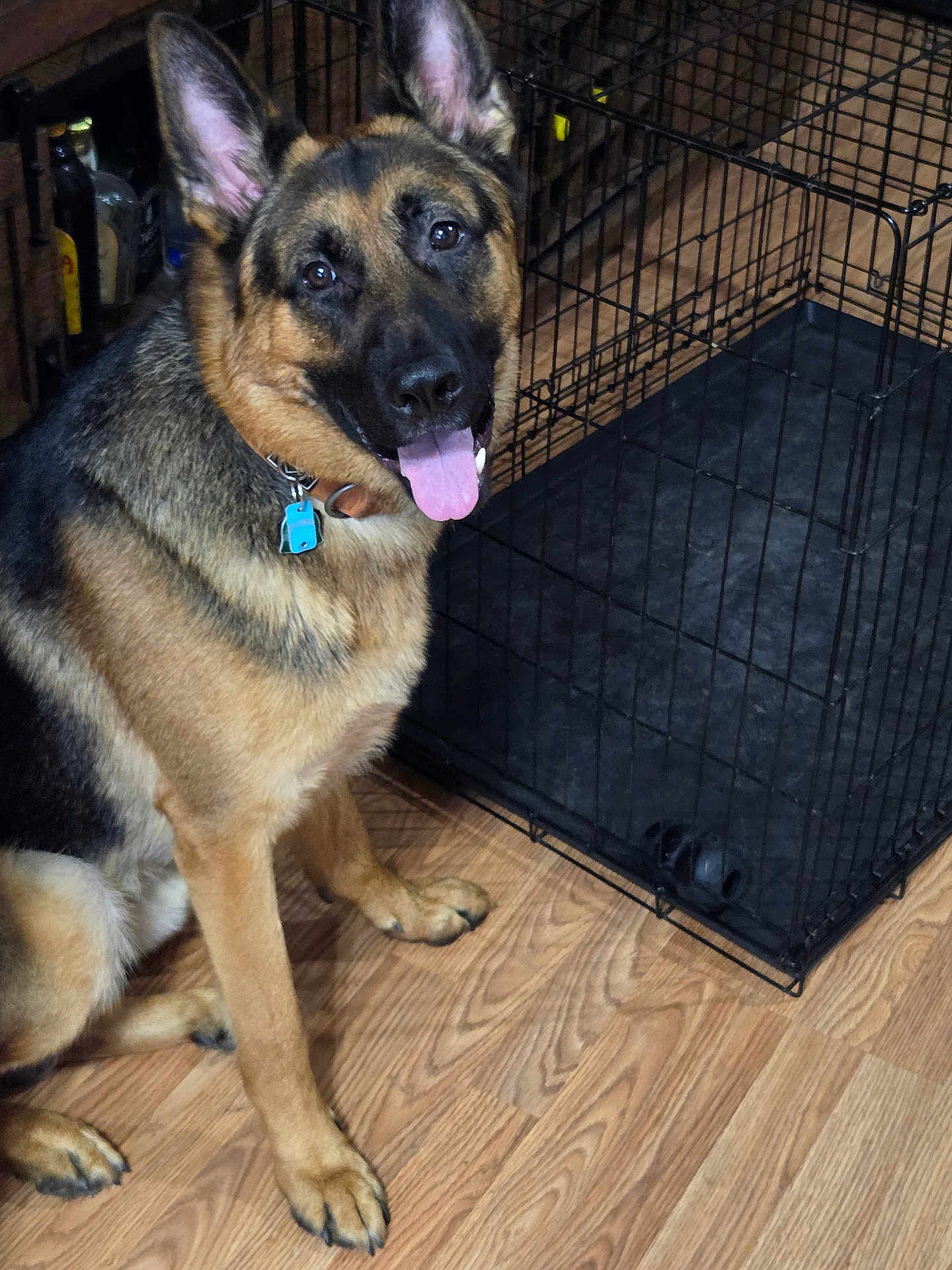Odin