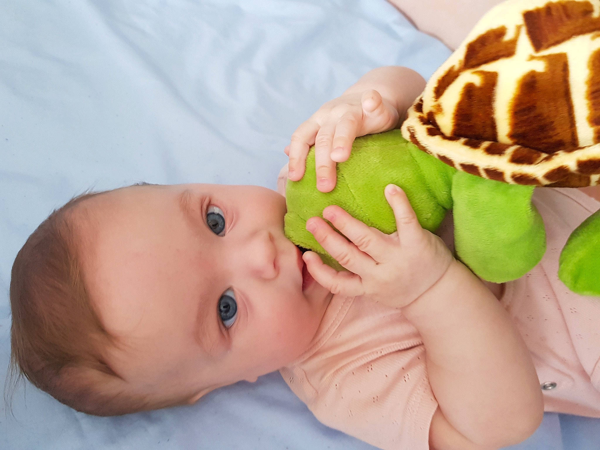 Nuria participe au concours pour gagner de l'argent avec cette photo : baby, baby_products, baby_toddler_clothing, child, comfort_food, finger, finger_food, food_craving, gesture, grass, hand, happy, headgear, ingredient, nail, people_in_nature, person, reptile, thumb, toddler