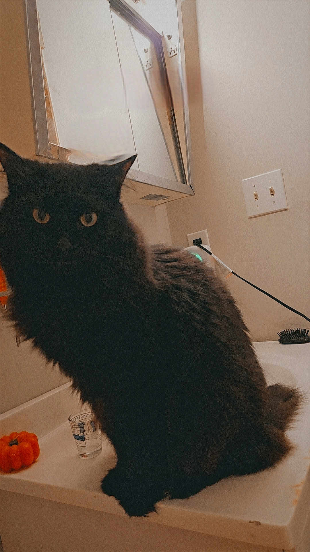 Mister