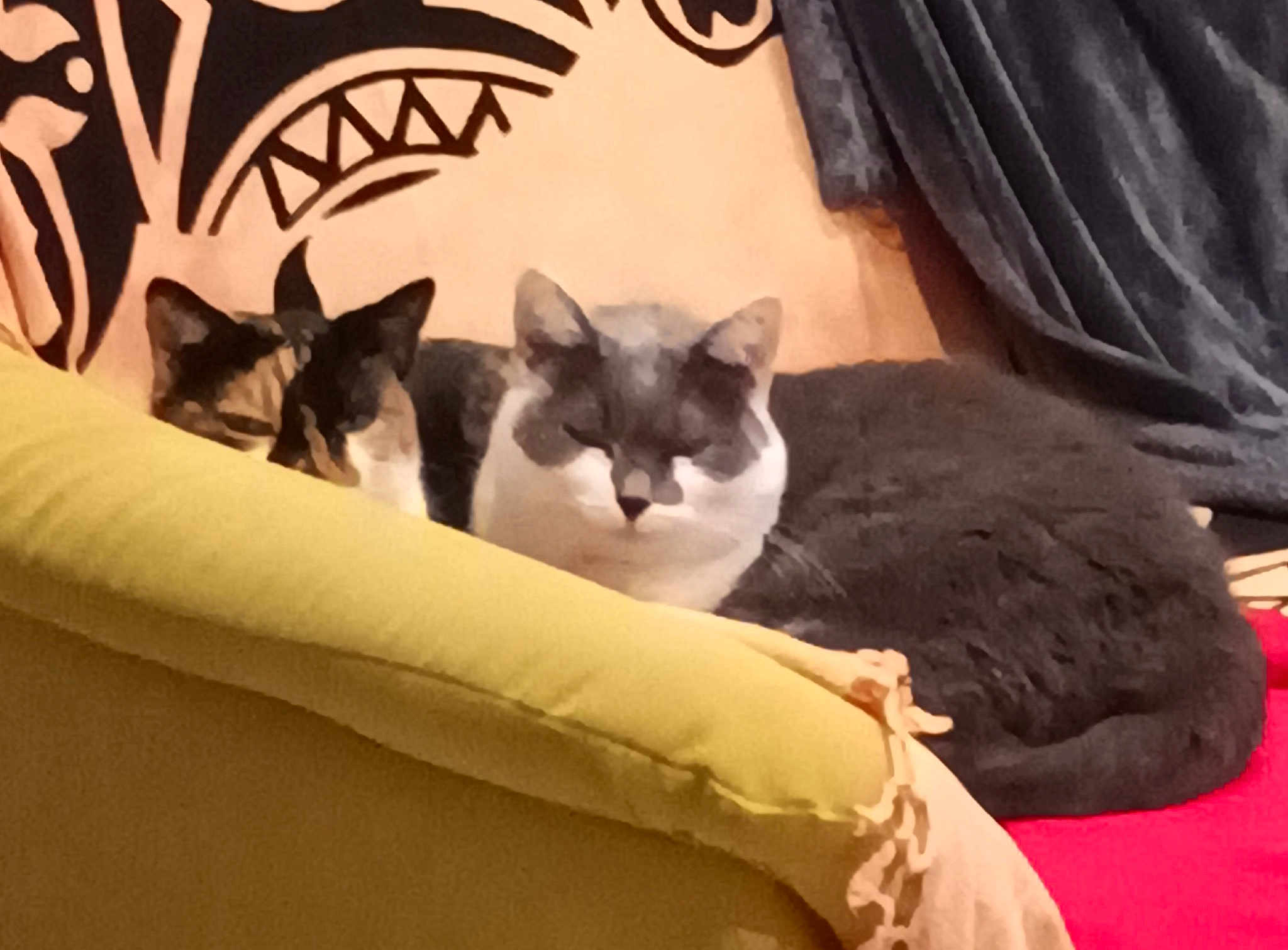 Elsa Et Bleuette