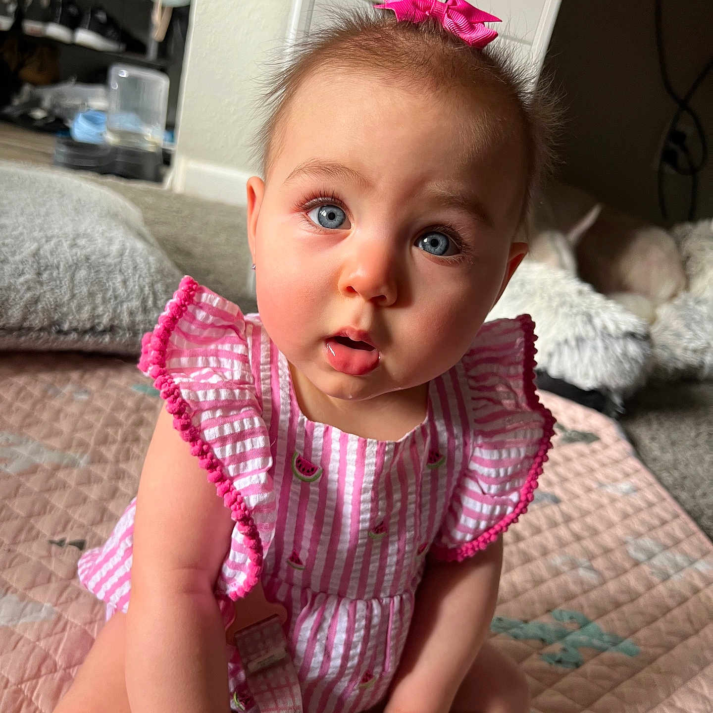 Ember joined the competition — help win amazing prizes! accessories, baby, bag, bed, bedroom, bodypart, clothing, couch, crawling, dress, face, furniture, handbag, head, indoors, person, photography, portrait, room, sitting