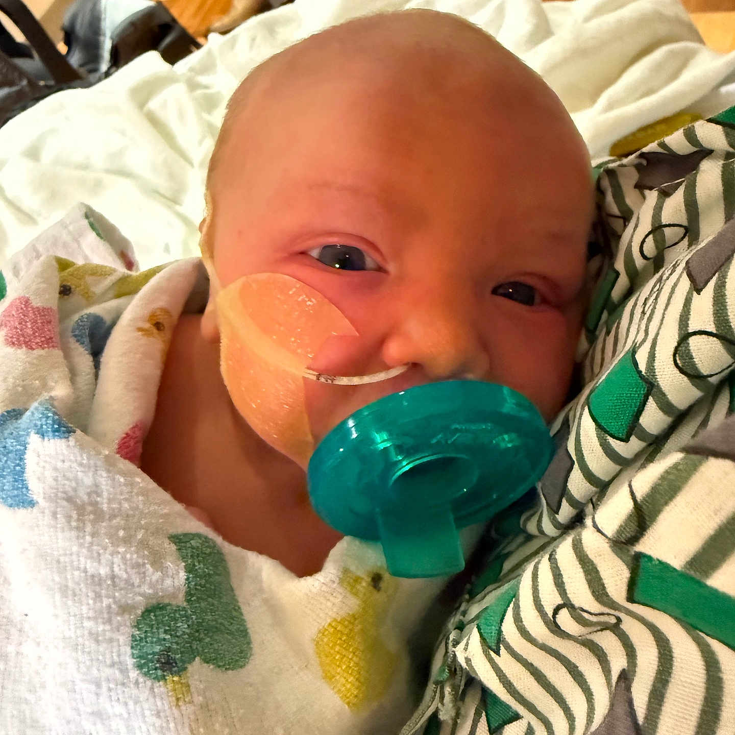 Isabella is registered to the contest to win money with this photo: baby, blanket, child, close_up, clothing, comfort, face, floor, head, indoor, infant, legs, medical_tape, newborn, pacifier, patterned_fabric, person, resting, skin, swaddled