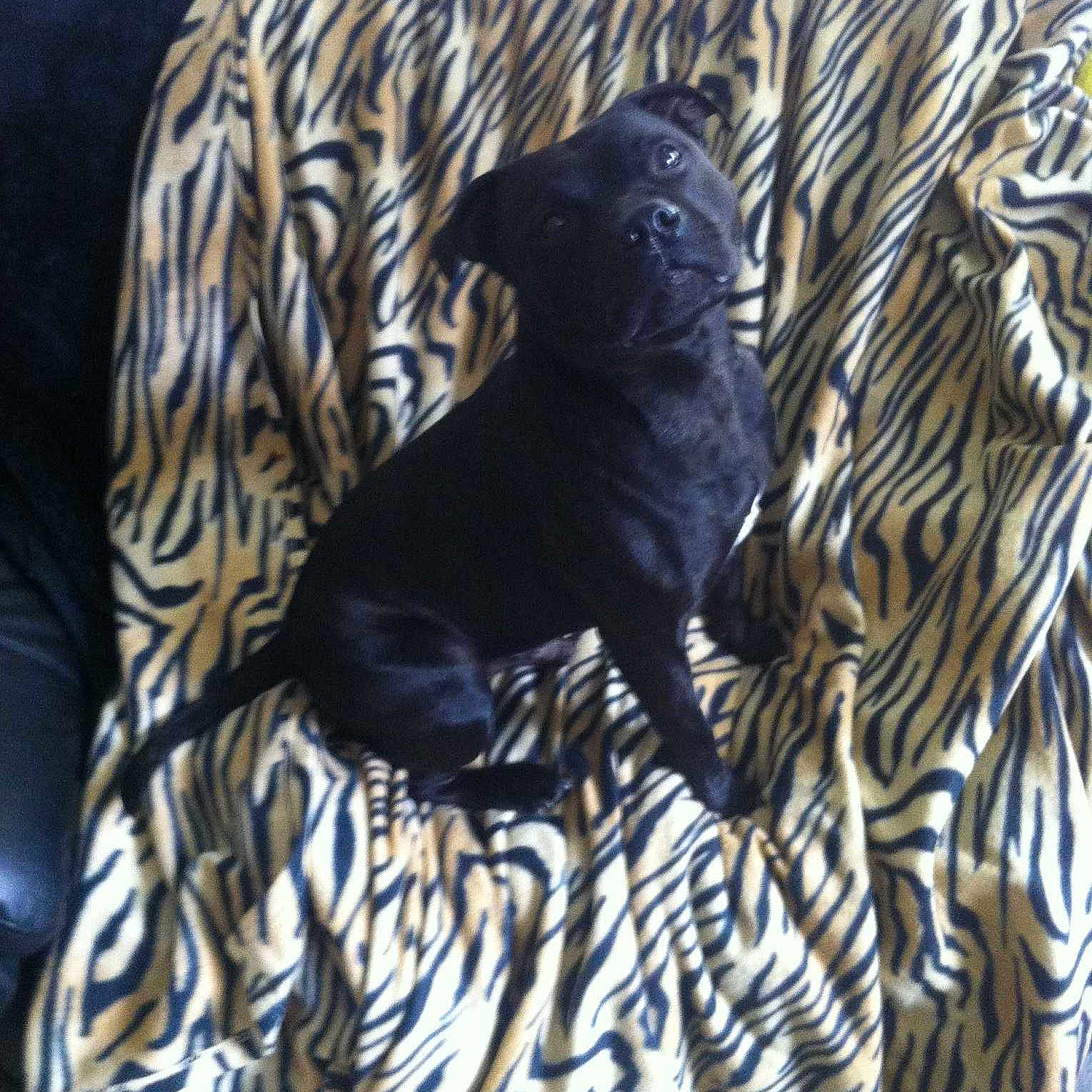 Zac joined the competition — help win amazing prizes!