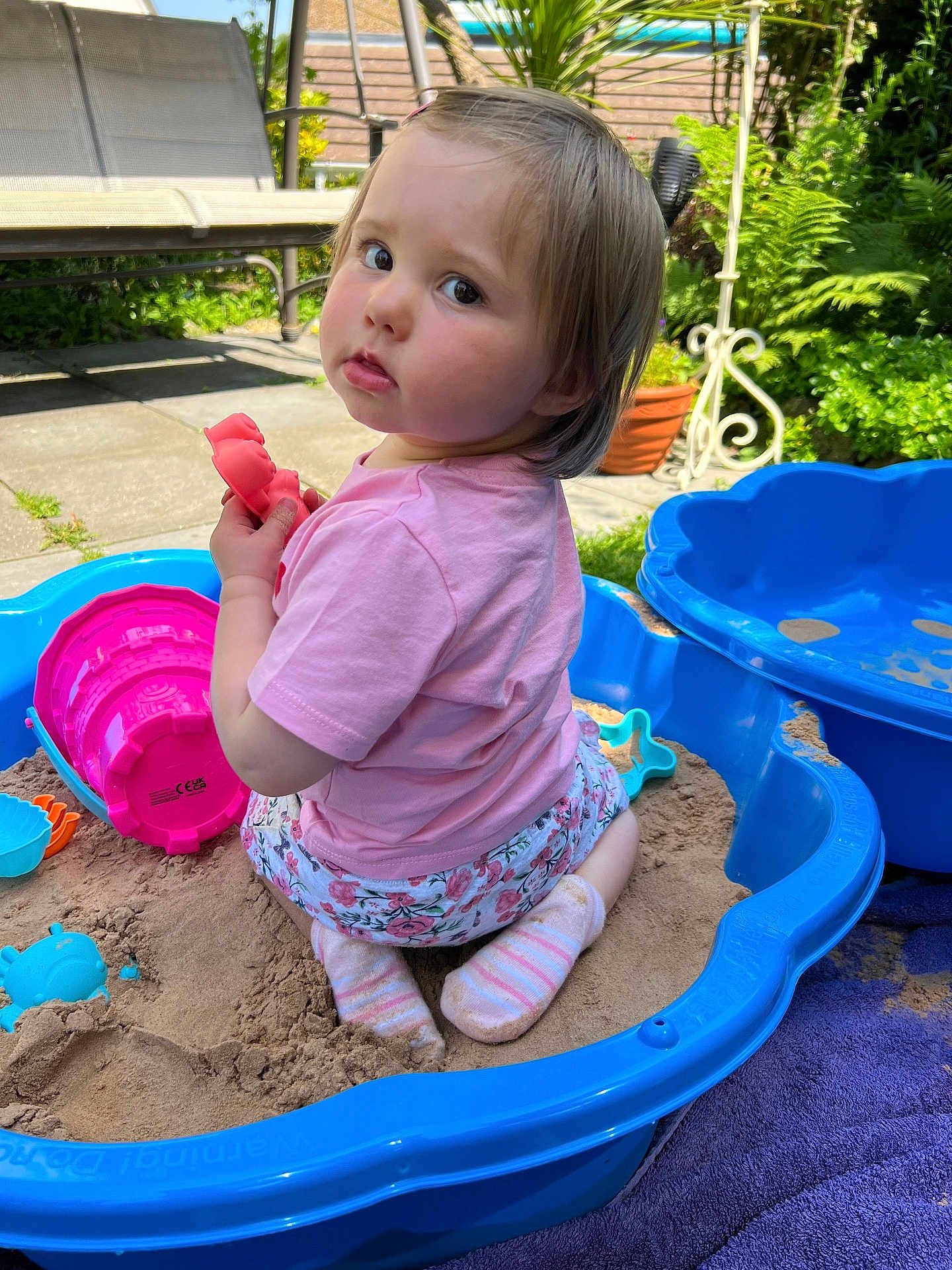 Ava joined the competition — help win amazing prizes! toddler, child, sandbox, sand, toy, pink_shirt, floral_shorts, socks, outdoor, garden, greenery, patio, bench, blue_sandbox, summer, play, cute, daylight, person, nature
