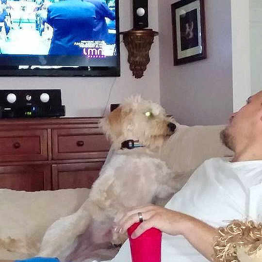 Darby