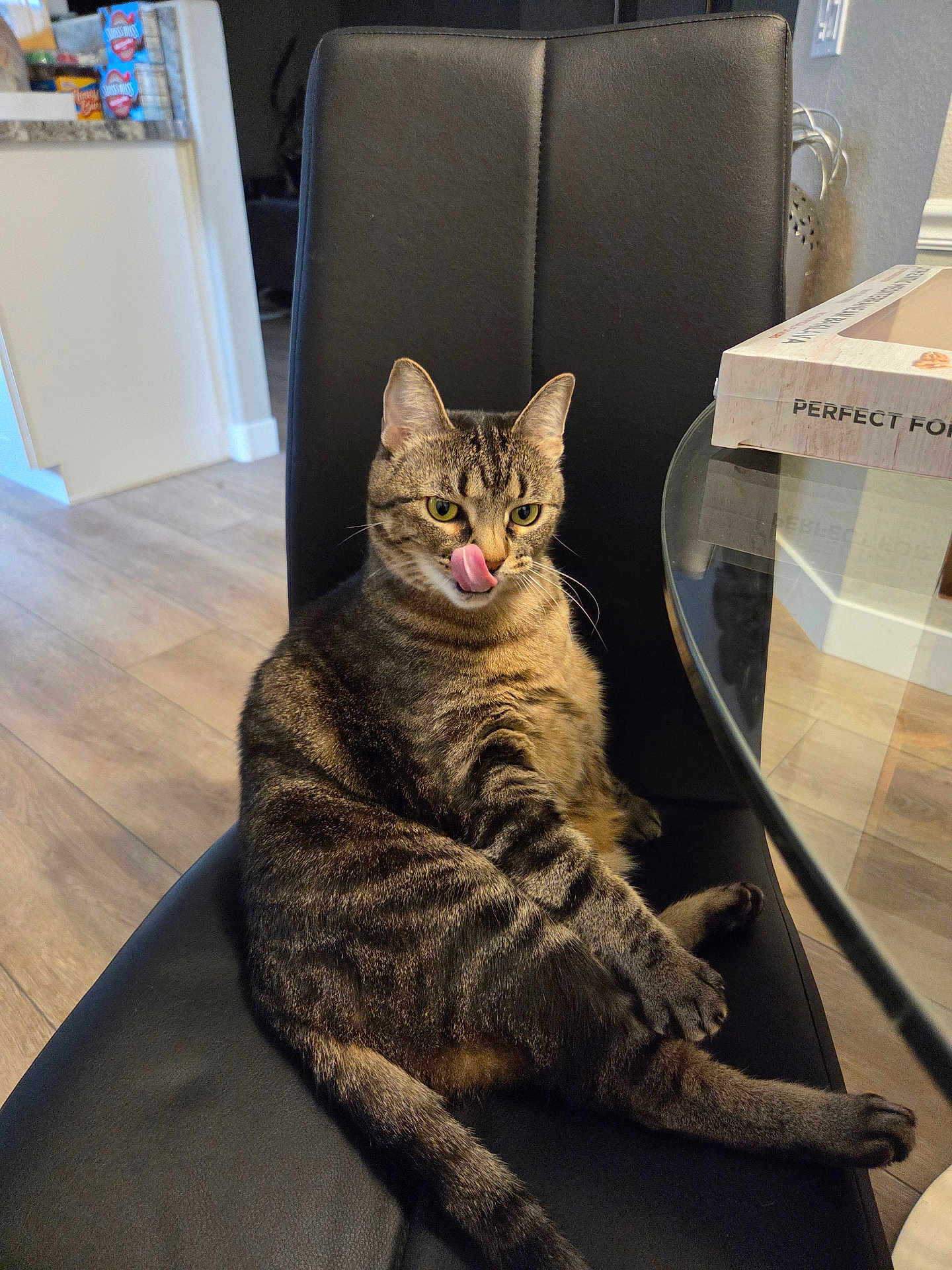 Baby Lucy joined the competition — help win amazing prizes! cat, tabby, indoor, chair, licking, tongue_out, pet, feline, animal, sitting, black_chair, floor, table, box, home, cozy, curious, fur, whiskers, relaxed
