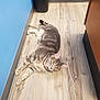 Astro is registered to the contest to win money with this photo: cat, tabby, floor, wooden_floor, blue_wall, trash_can, indoor, pet, animal, feline, lying_down, relaxed, curious, ears, whiskers, paws, tail, domestic_cat, striped, green_eyes