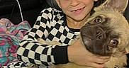 Sprocket is registered to the contest to win money with this photo: blanket, boy, brown_dog, casual, checkered_clothing, child, couch, cozy, dog, domestic_animal, face, french_bulldog, happy, hugging, indoor, leather_furniture, pet, portrait, smiling, young_child