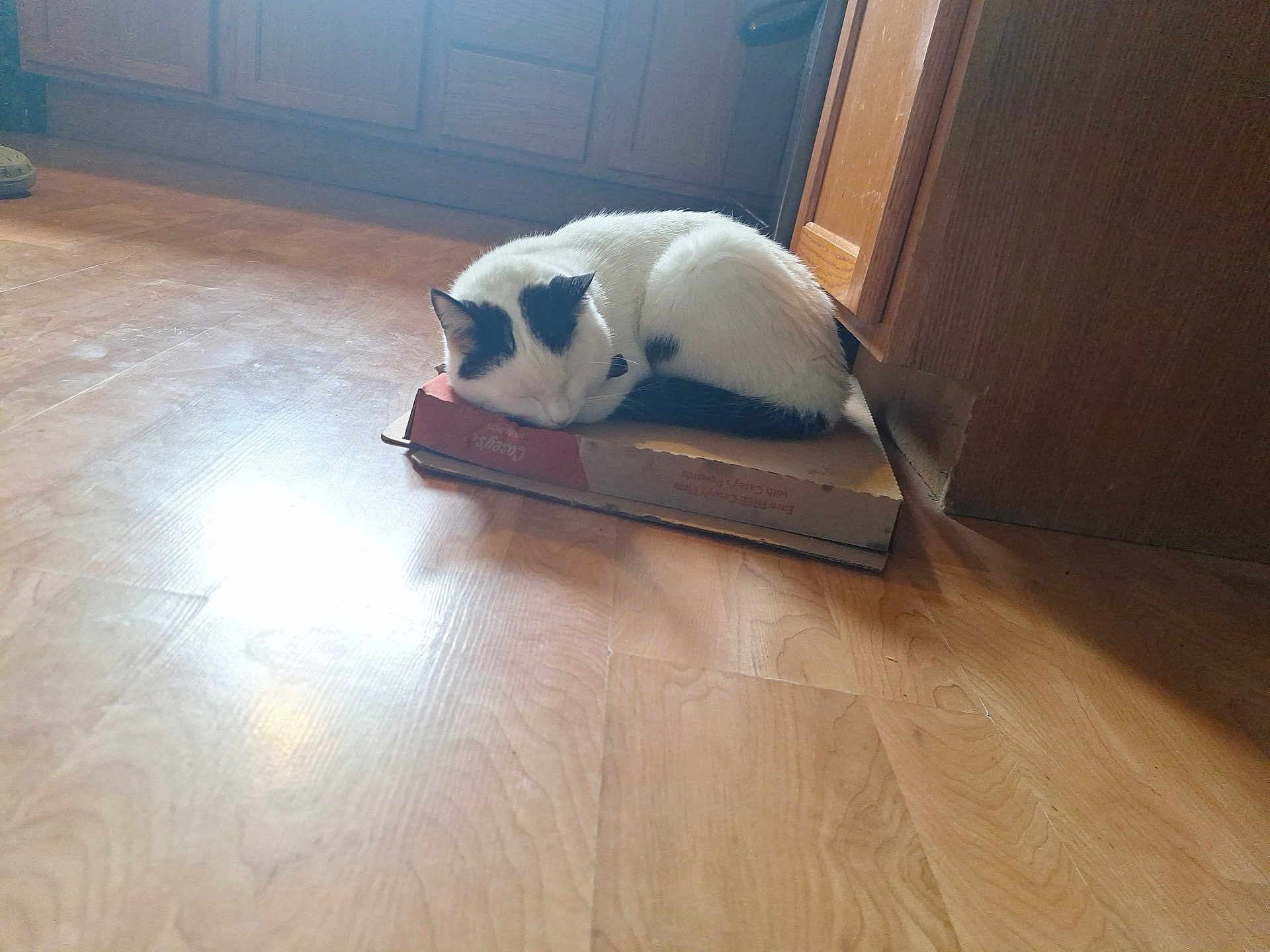 Elvis