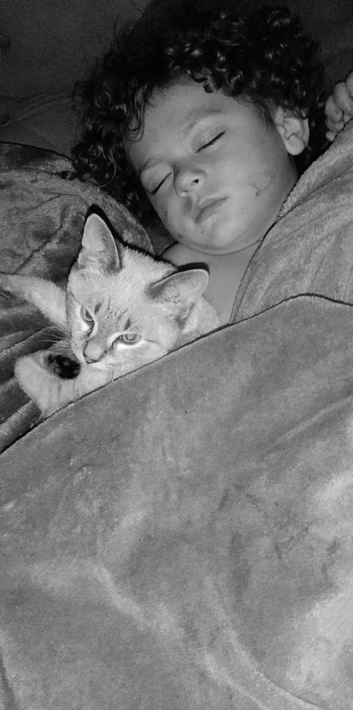 Princeton is registered to the contest to win money with this photo: black, carnivore, cat, child, comfort, domestic_short_haired_cat, eye, felidae, gesture, grey, head, iris, monochrome, monochrome_photography, person, skin, small_to_medium_sized_cats, snapshot, snout, whiskers