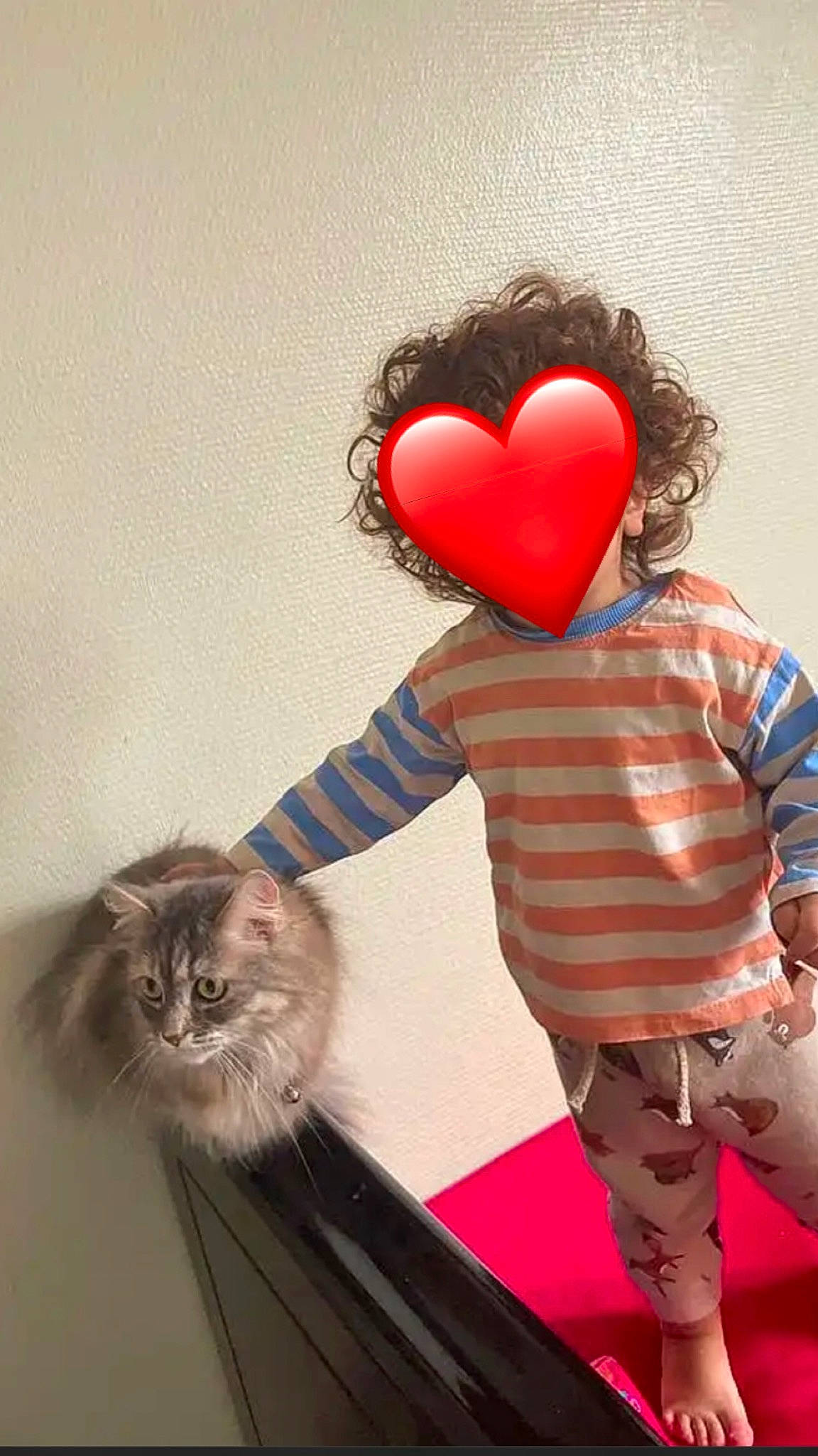 Princesses participe au concours pour gagner de l'argent avec cette photo : baby_toddler_clothing, cat, child, comfort, felidae, fun, fur, gesture, happy, heart, interaction, love, magenta, shoulder, sleeve, small_to_medium_sized_cats, stuffed_toy, t_shirt, toddler, whiskers