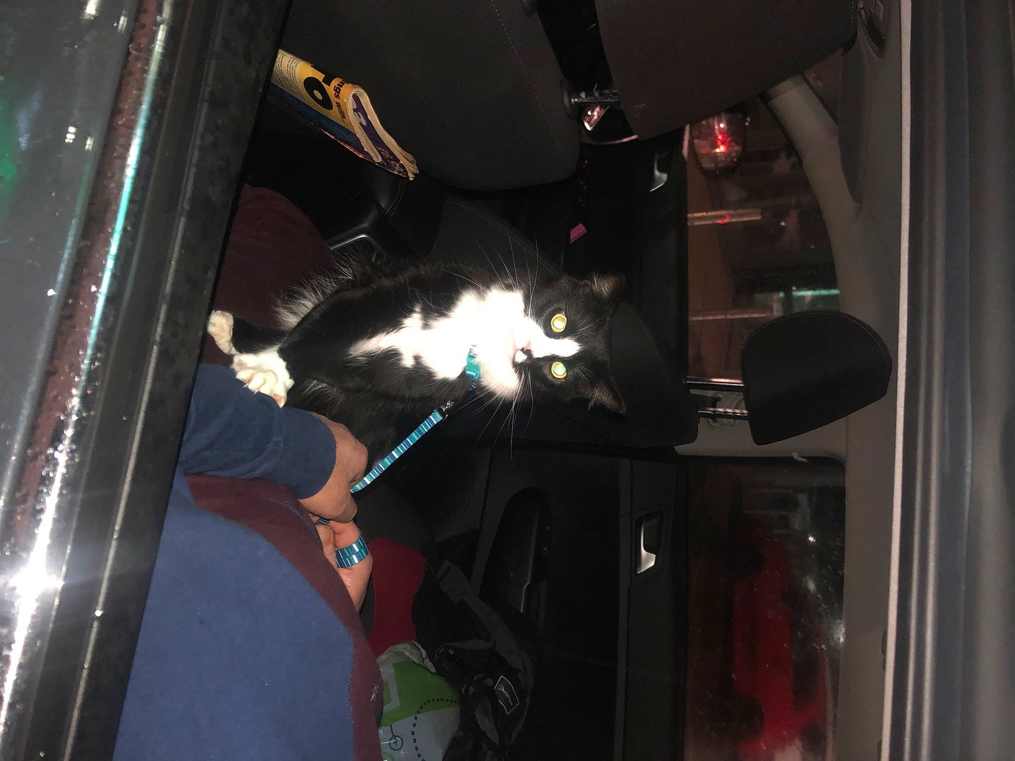 Jackson is registered to the contest to win money with this photo: auto_part, automotive_design, automotive_exterior, automotive_lighting, automotive_window_part, bumper, darkness, event, fixture, gas, glass, heat, hood, human_leg, machine, motor_vehicle, personal_luxury_car, vehicle, vehicle_door, windshield