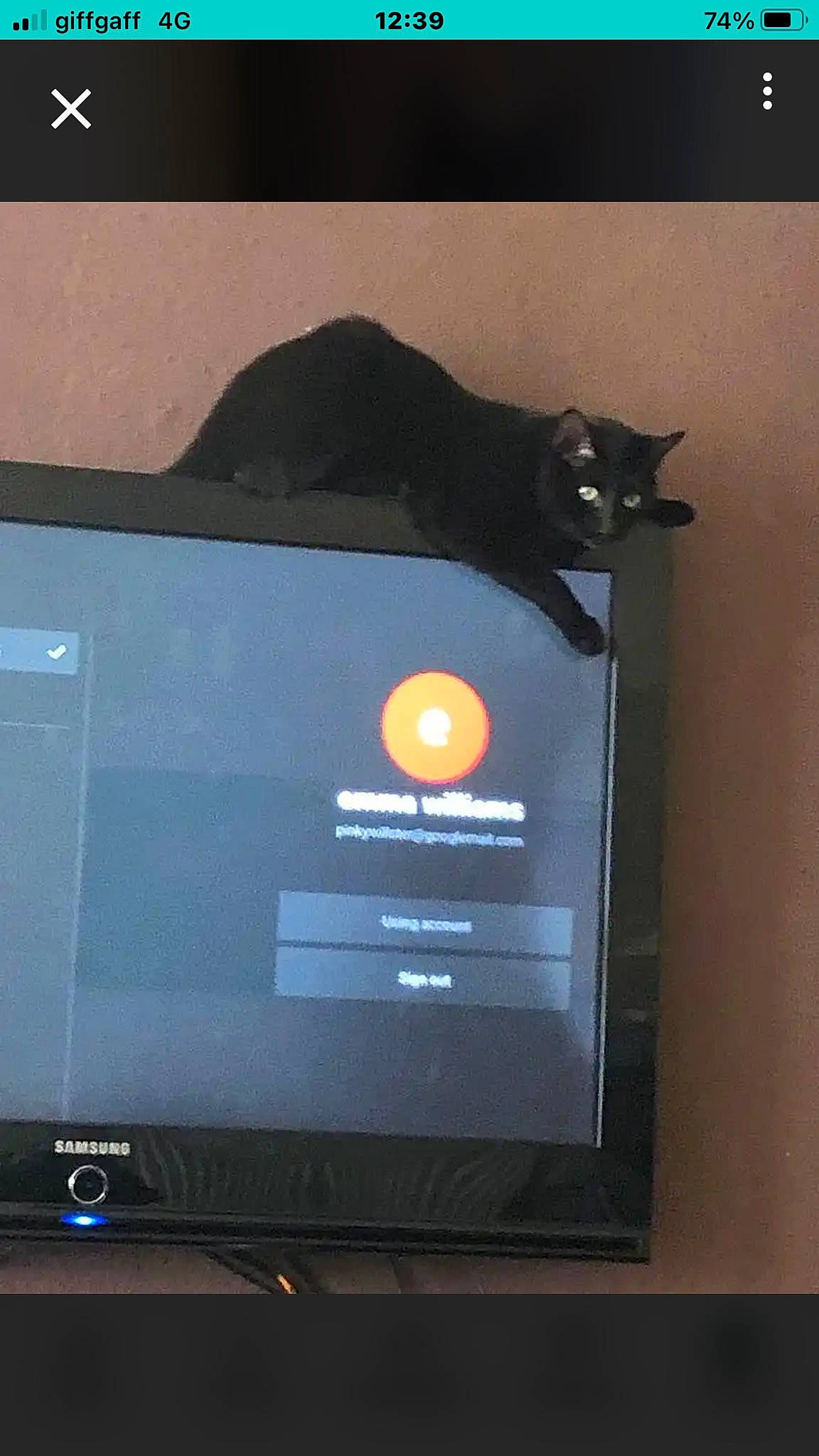 Rupert Bear is registered to the contest to win money with this photo: carnivore, cat, computer_hardware, computer_monitor_accessory, display_device, electronic_device, felidae, flat_panel_display, font, gadget, lcd_tv, led_backlit_lcd_display, multimedia, output_device, personal_computer, room, small_to_medium_sized_cats, tail, television_set, whiskers