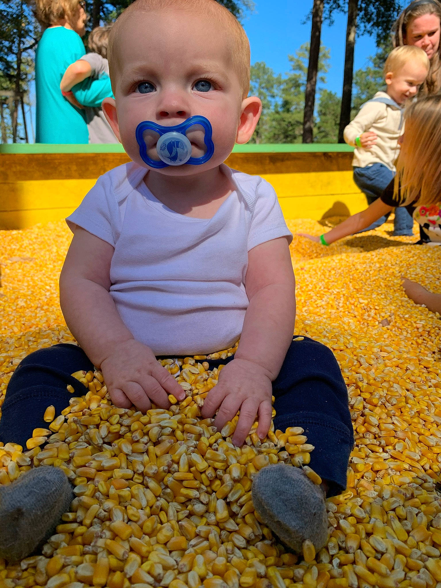 Liam is registered to the contest to win money with this photo: child, food, fun, leisure, pebble, person, plant, play, toddler, vacation, vegetarian_food, yellow