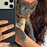 Salem joined the competition — help win amazing prizes! selfie, person, kitten, cat, gray_cat, pet, phone, smartphone, mirror, hand, collar, tag, indoor, long_hair, brown_hair, face, eyes, cute, holding, portrait
