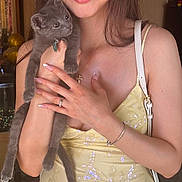 Salem is registered to the contest to win money with this photo: woman, glasses, kitten, cat, yellow_dress, indoor, handbag, smile, long_hair, jewelry, bracelet, ring, holding, posing, cute, pet, furniture, door, portrait, light
