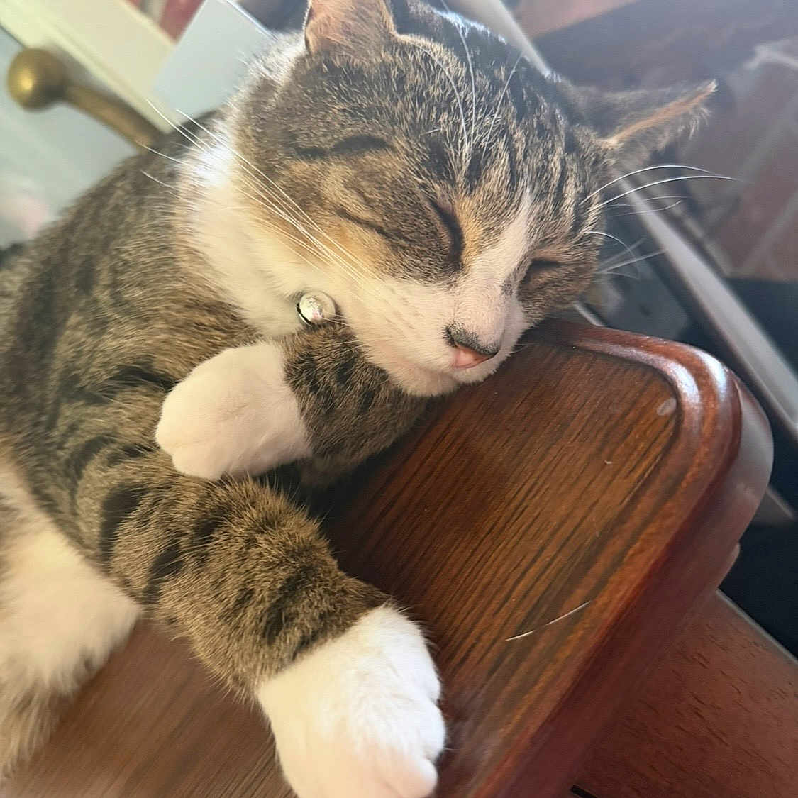 Oliver