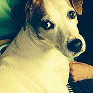 Maya participe au concours pour gagner de l'argent avec cette photo :