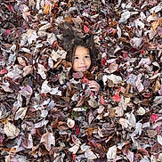 Kayson joined the competition — help win amazing prizes! child, face, leaves, autumn, fall, outdoor, nature, curly_hair, playful, camouflage, seasonal, brown, red, orange, tree, foliage, cute, smiling, young, park