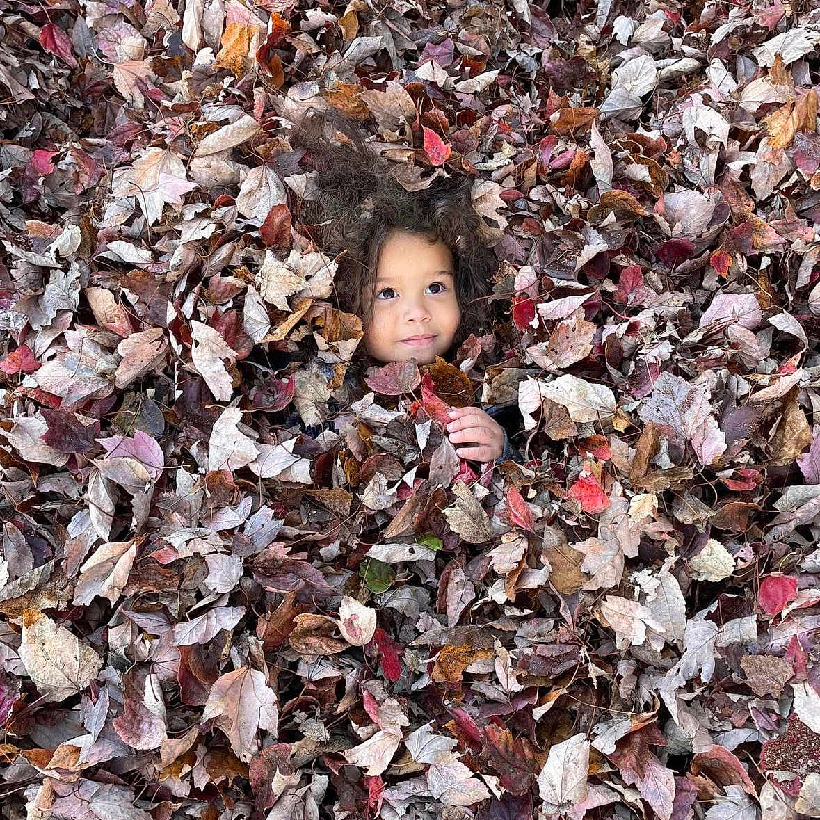Kayson joined the competition — help win amazing prizes! autumn, brown, camouflage, child, curly_hair, cute, face, fall, foliage, leaves, nature, orange, outdoor, park, playful, red, seasonal, smiling, tree, young