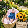 baby, child, basket, pink_blanket, sunflowers, flowers, garden, grass, denim_dress, headband, smiling, outdoor, nature, greenery, cute, infant, milestone, sitting, portrait, bright