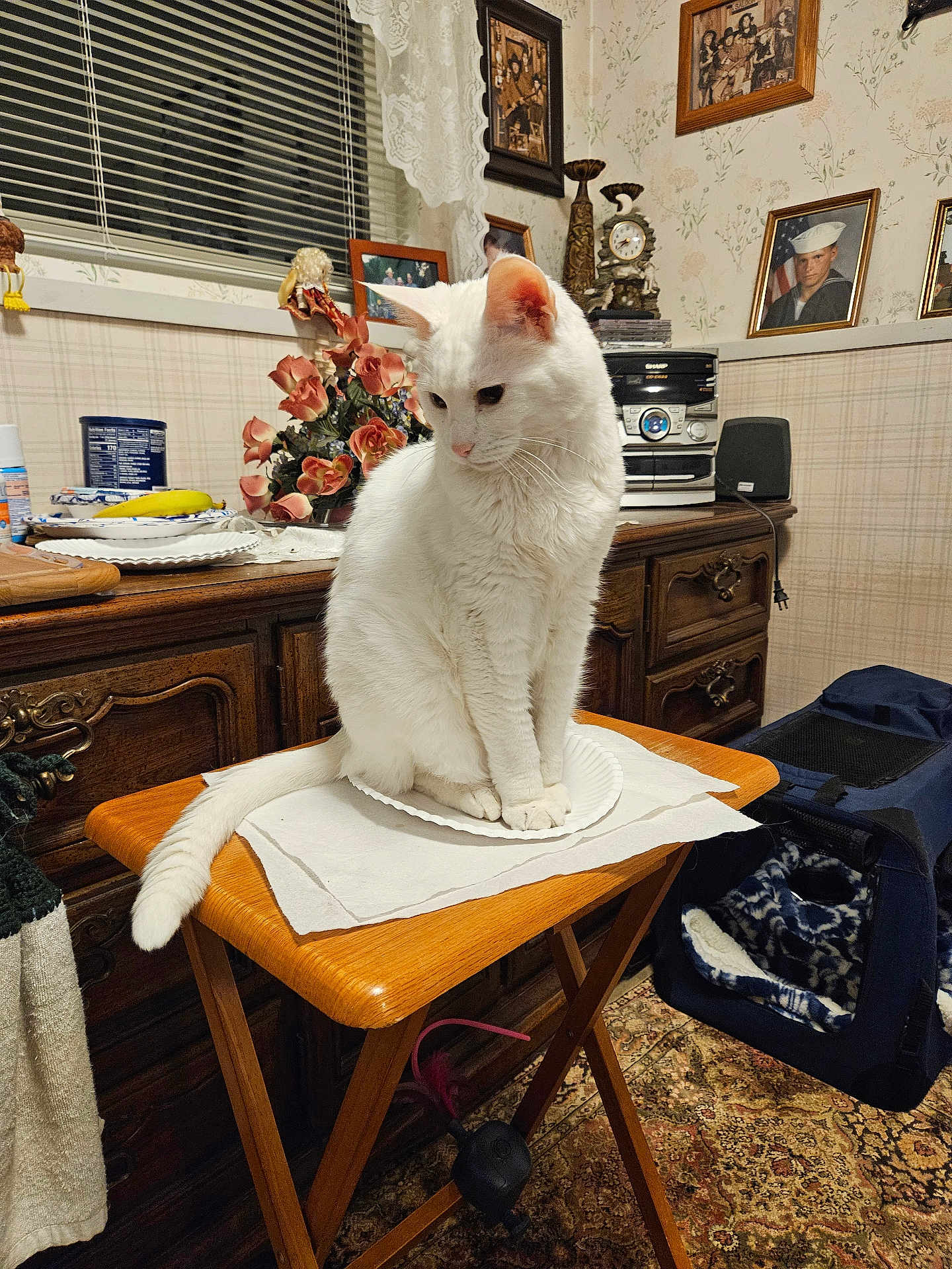 Marshmellow