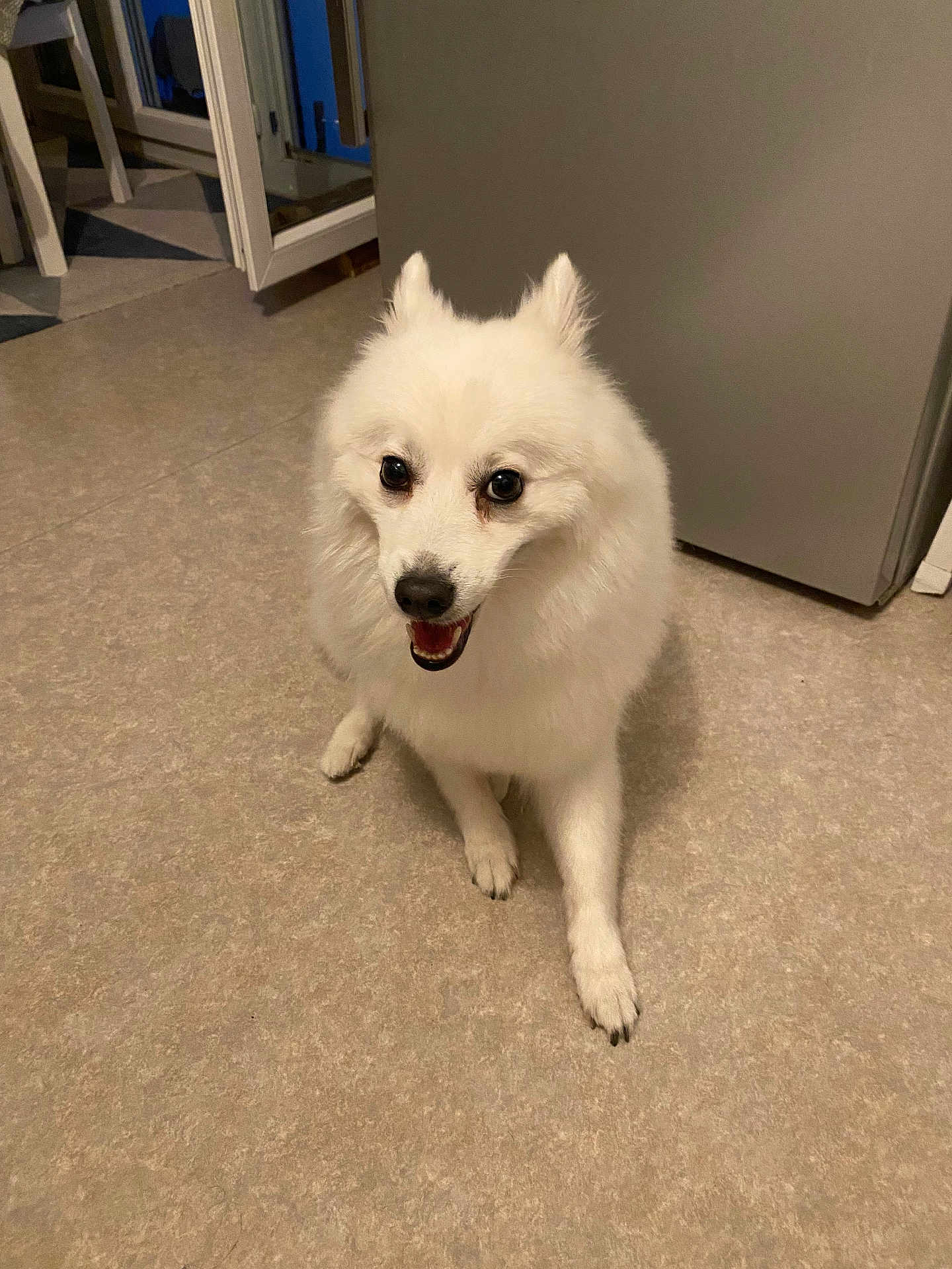 Yuki