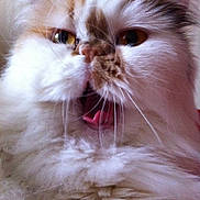 Ga a rejoint le concours — aidez-le/la à gagner de superbes lots !