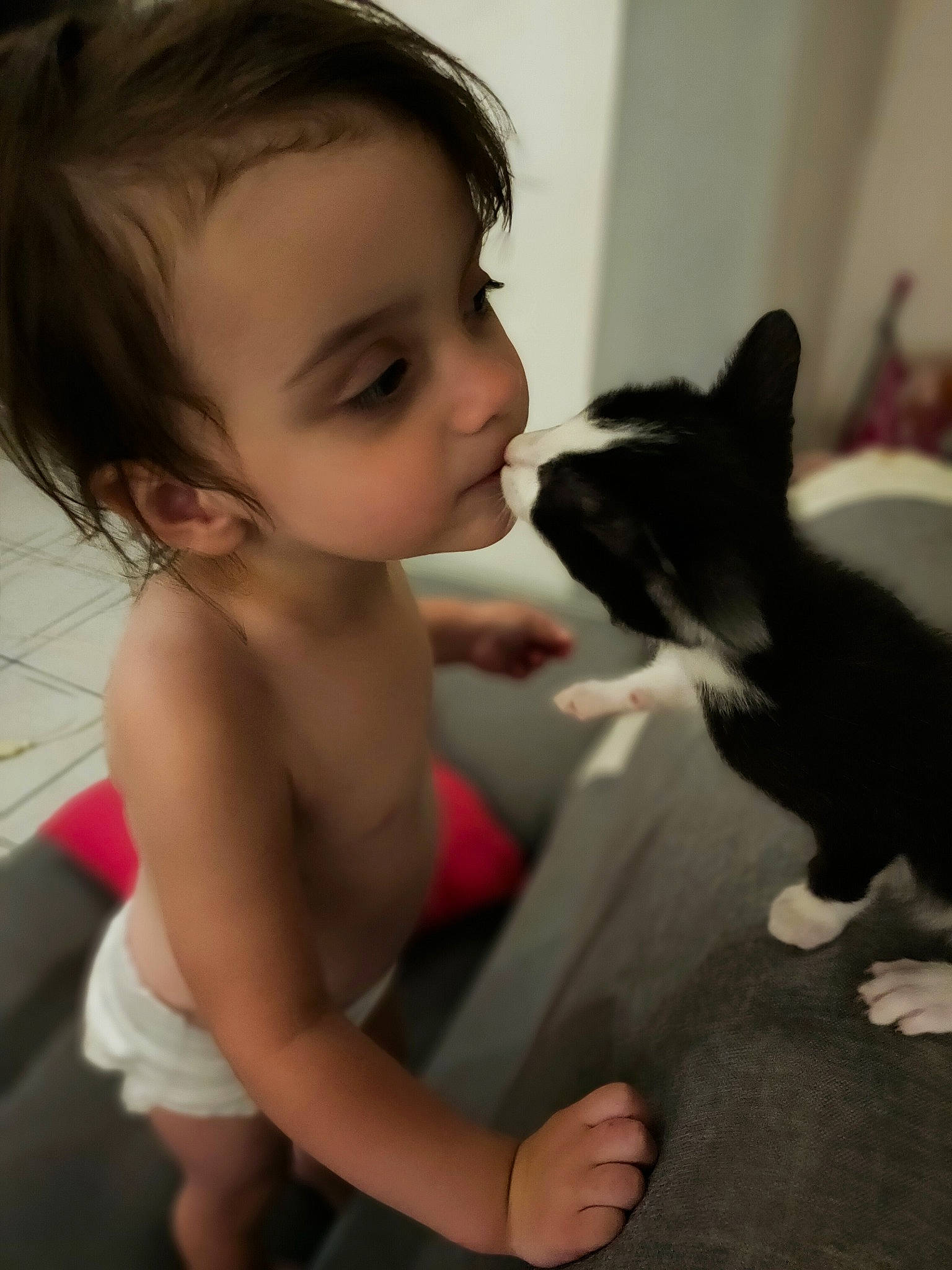 Turbo a rejoint le concours — aidez-le/la à gagner de superbes lots ! arm, cat, comfort, ear, eye, eyebrow, facial_expression, gesture, hair, hairstyle, head, human_body, iris, joint, mammal, mouth, neck, nose, shoulder, skin