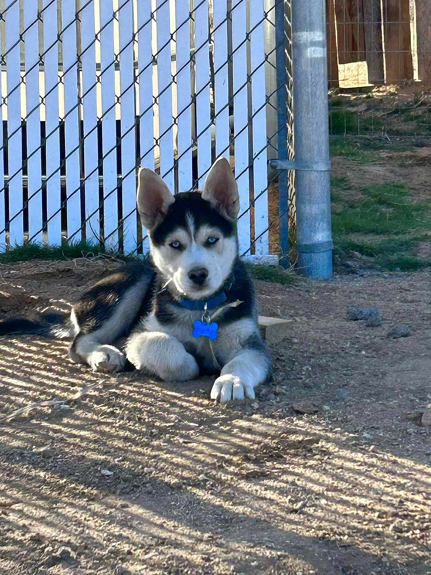 Balto