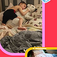 Loki joined the competition — help win amazing prizes! child, dog, bed, blanket, pillow, sleeping, hugging, cute, resting, indoor, love, affection, white_dog, quilt, headboard, comfort, nap, home, cozy, cute_dog