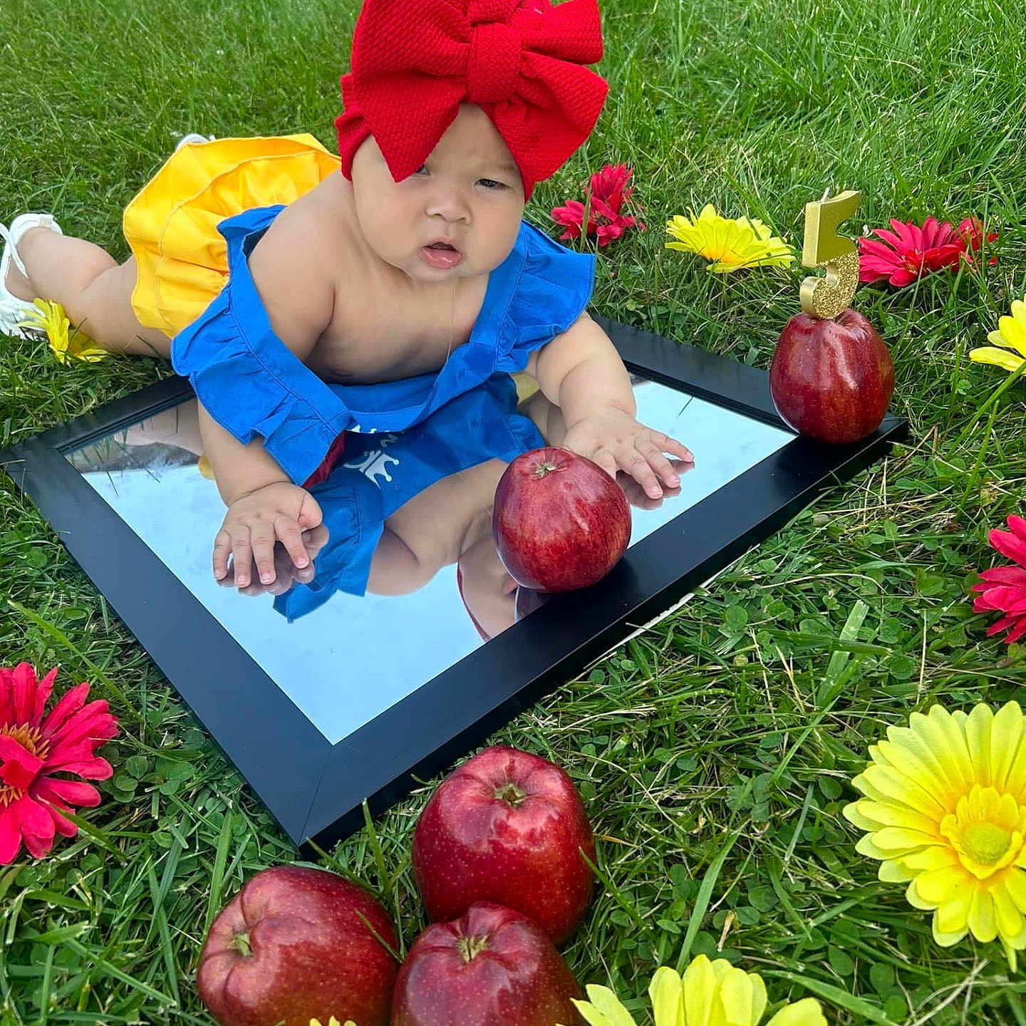 Mía Lsabella joined the competition — help win amazing prizes! baby, blue_clothing, celebration, child, cute, flowers, grass, infant, mirror, nature, number_5, outdoor, playful, red_apples, red_bow, red_flowers, reflection, summer, yellow_clothing, yellow_flowers