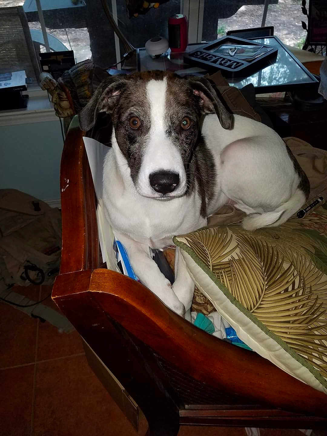 Cooper