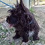 Leon participe au concours pour gagner de l'argent avec cette photo :