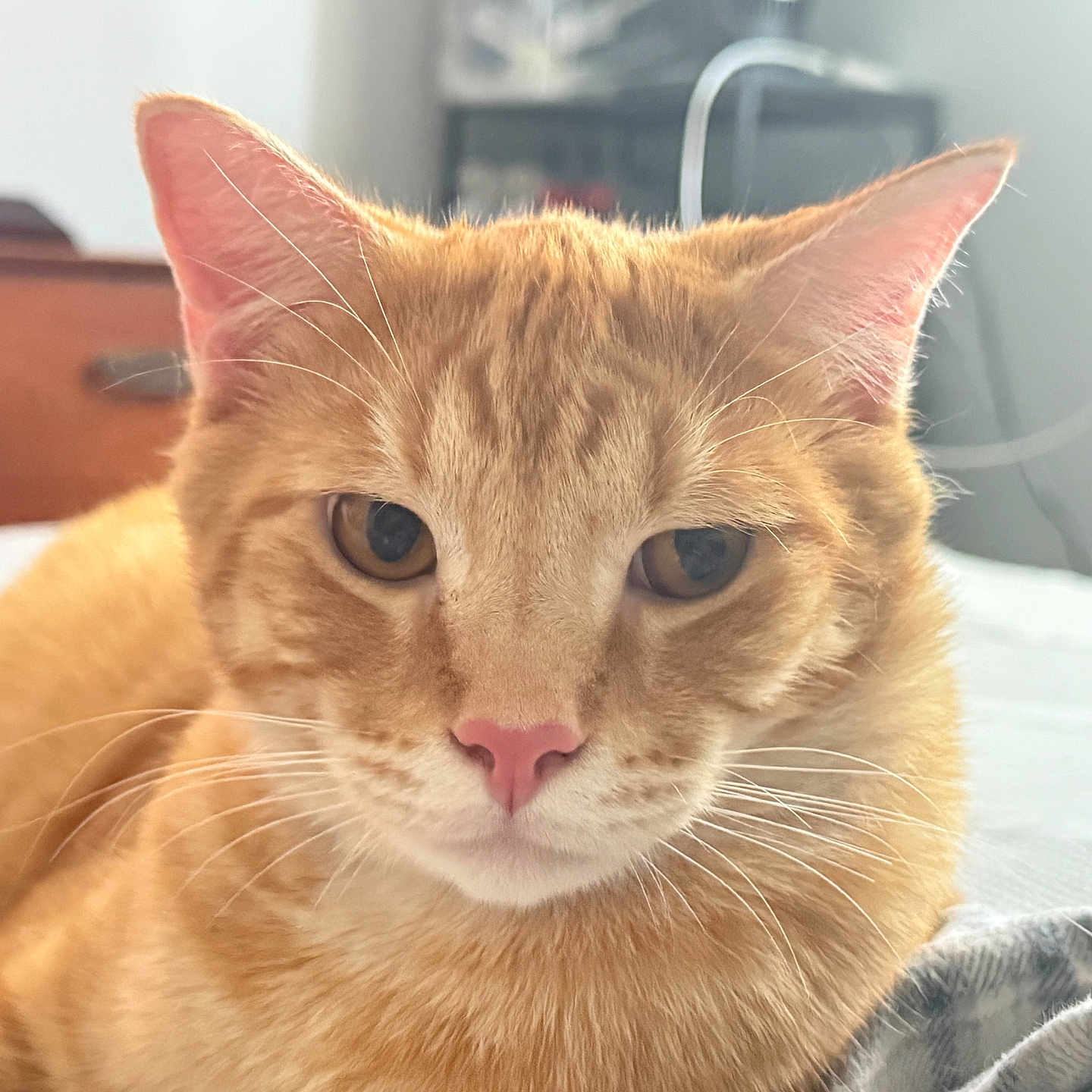 Max