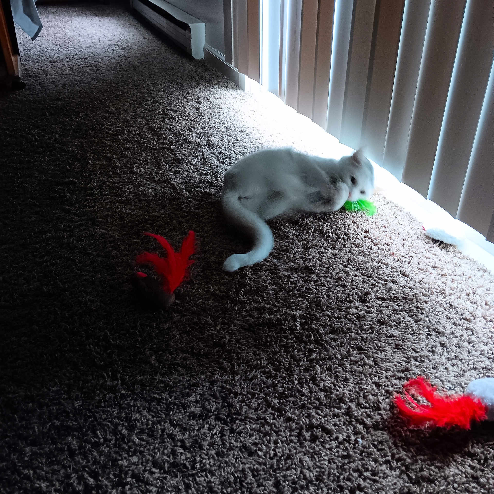 Kiki