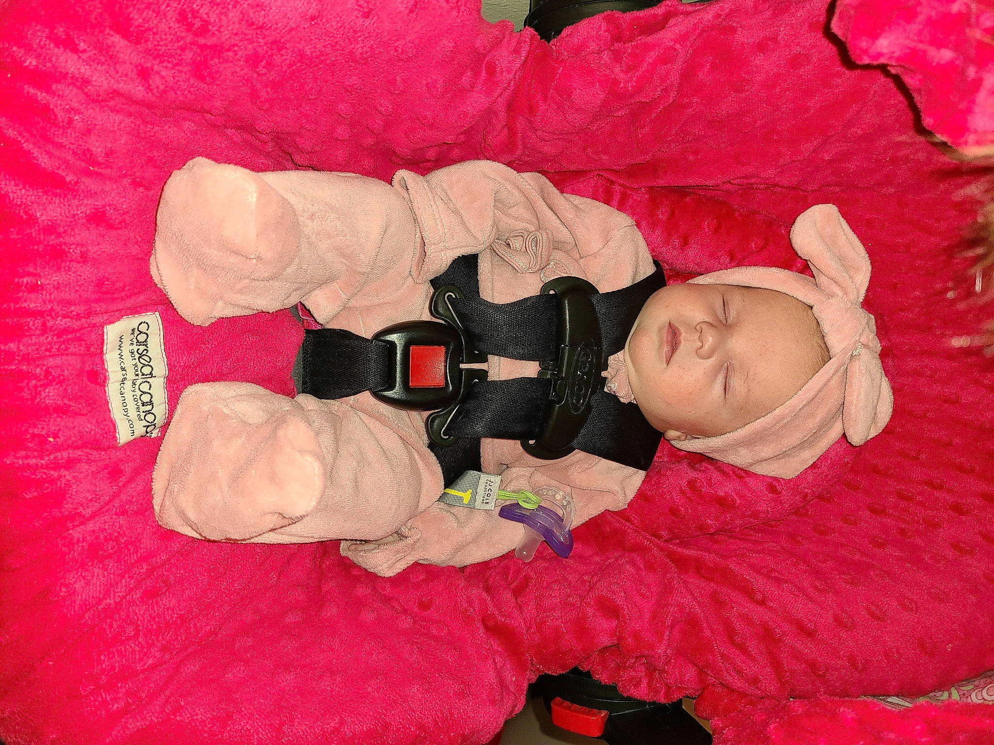 Matilda joined the competition — help win amazing prizes! baby, baby_products, baby_sleeping, baby_toddler_clothing, carmine, child, comfort, fashion_accessory, fun, lap, magenta, peach, person, petal, pink, red, room, textile, toddler, toy