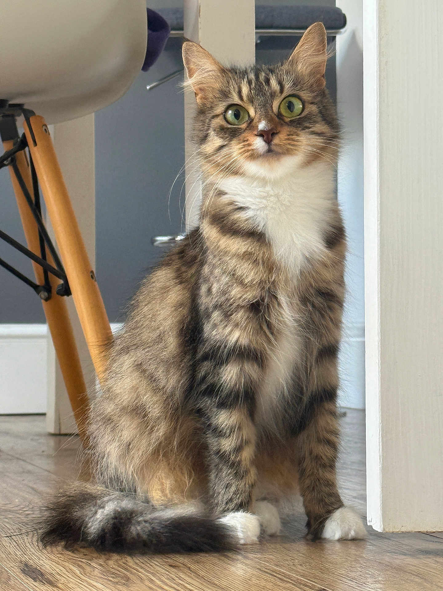 Remi