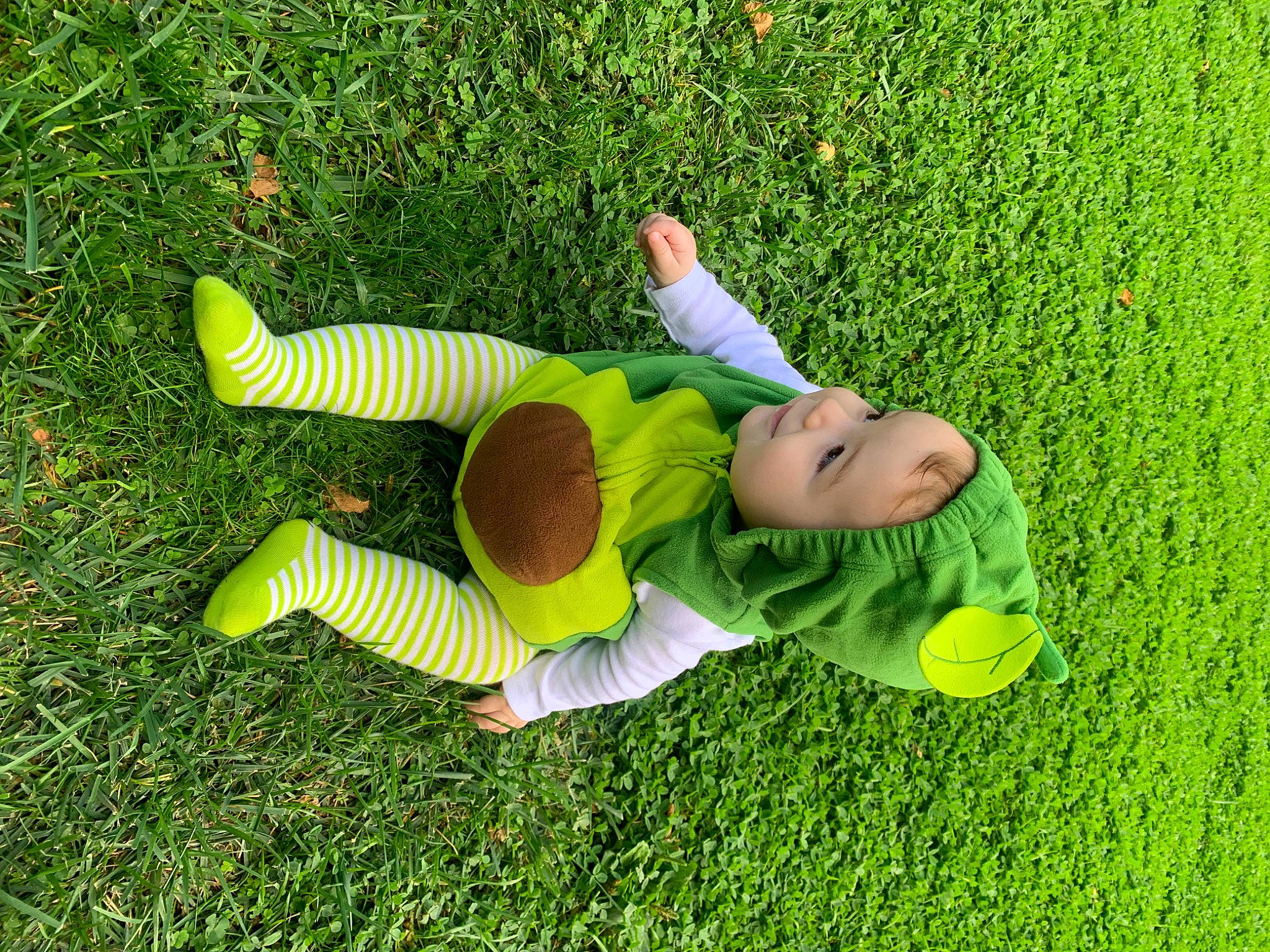 Sanji joined the competition — help win amazing prizes! artificial_turf, child, fun, garden, grass, grass_family, grassland, groundcover, happy, headwear, human_body, lawn, leisure, meadow, organism, people_in_nature, person, plant, recreation, shrub