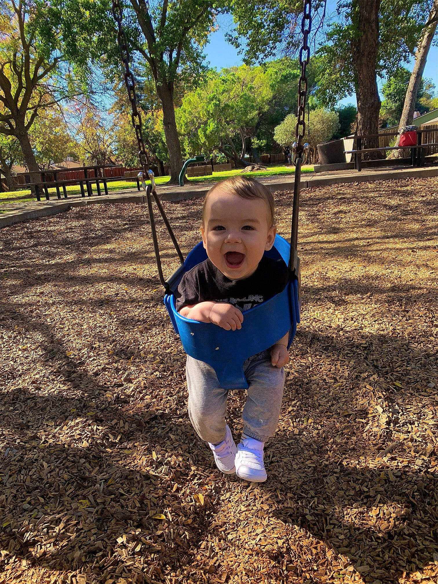 Sanji is registered to the contest to win money with this photo: baby, baby_toddler_clothing, electric_blue, fun, grass, happy, leaf, leisure, nature, people_in_nature, person, plant, playground, public_space, shade, smile, sunlight, swing, tints_and_shades, toddler