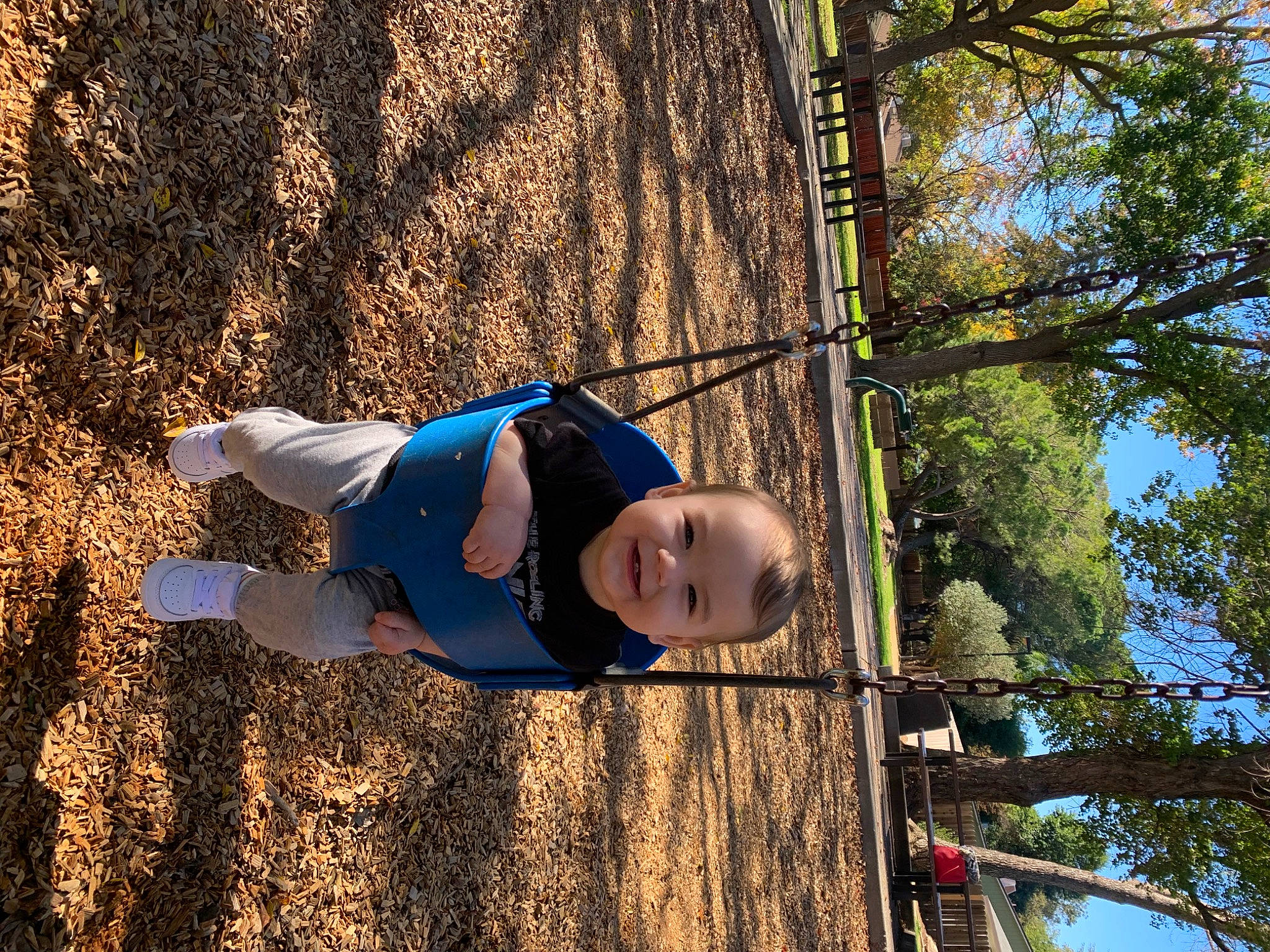 Sanji joined the competition — help win amazing prizes! branch, electric_blue, fun, grass, happy, joy, landscape, leisure, outdoor_play_equipment, people_in_nature, person, plant, playground, recreation, sky, sunlight, swing, tints_and_shades, toddler, tree