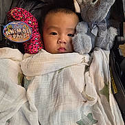 Kaiyus Zeb Vang is registered to the contest to win money with this photo: baby, child, blanket, stuffed_animal, elephant, plush_toy, pink_toy, leopard_print, stroller, face, portrait, wrapped, bow_tie, soft_toy, cute, infant, indoors, resting, cozy, young_child