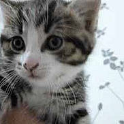 Maxou a rejoint le concours — aidez-le/la à gagner de superbes lots !