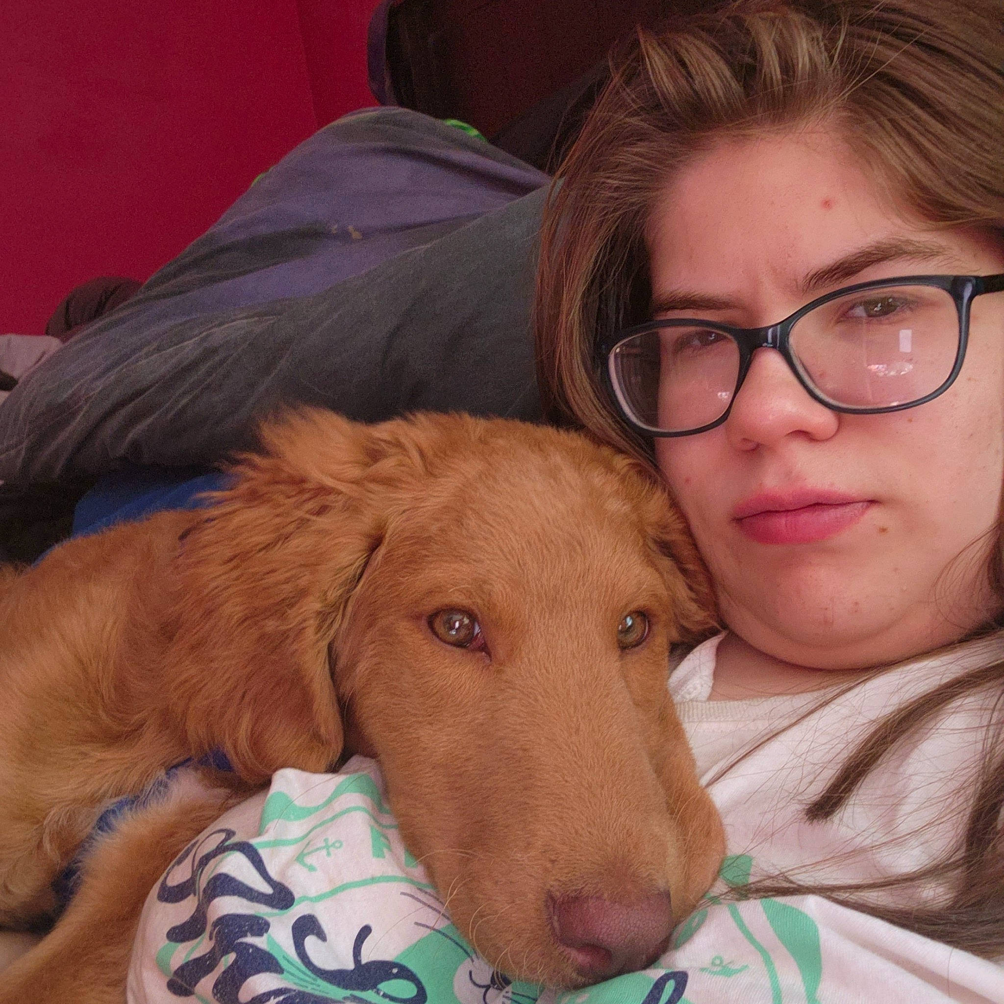 Havok Wilson joined the competition — help win amazing prizes! canidae, carnivore, comfort, companion_dog, dog, dog_breed, ear, eyelash, eyewear, fawn, fun, glasses, happy, jaw, nose, selfie, snout, sporting_group, vision_care, working_animal