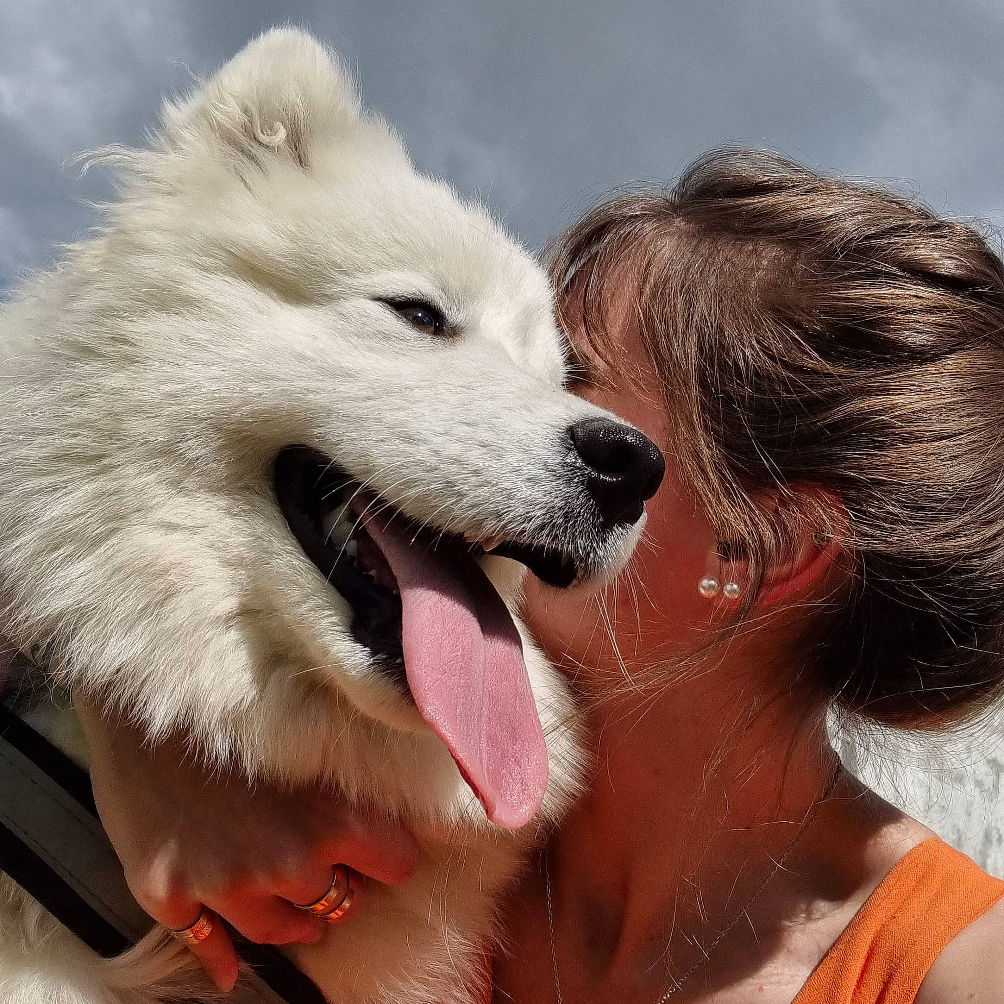 Ice a rejoint le concours — aidez-le/la à gagner de superbes lots ! carnivore, cloud, companion_dog, dog, dog_breed, fur, german_spitz, german_spitz_klein, german_spitz_mittel, happy, indian_spitz, japanese_spitz, jaw, mammal, samoyed, sky, snout, spitz, sporting_group, volpino_italiano