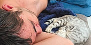 Stella a rejoint le concours — aidez-le/la à gagner de superbes lots ! shirtless, young_man, sleeping, kitten, cat, couch, blanket, indoor, relaxing, casual, home, furniture, blue_jeans, bracelet, resting, curled_up, nap, comfort, domestic, cozy