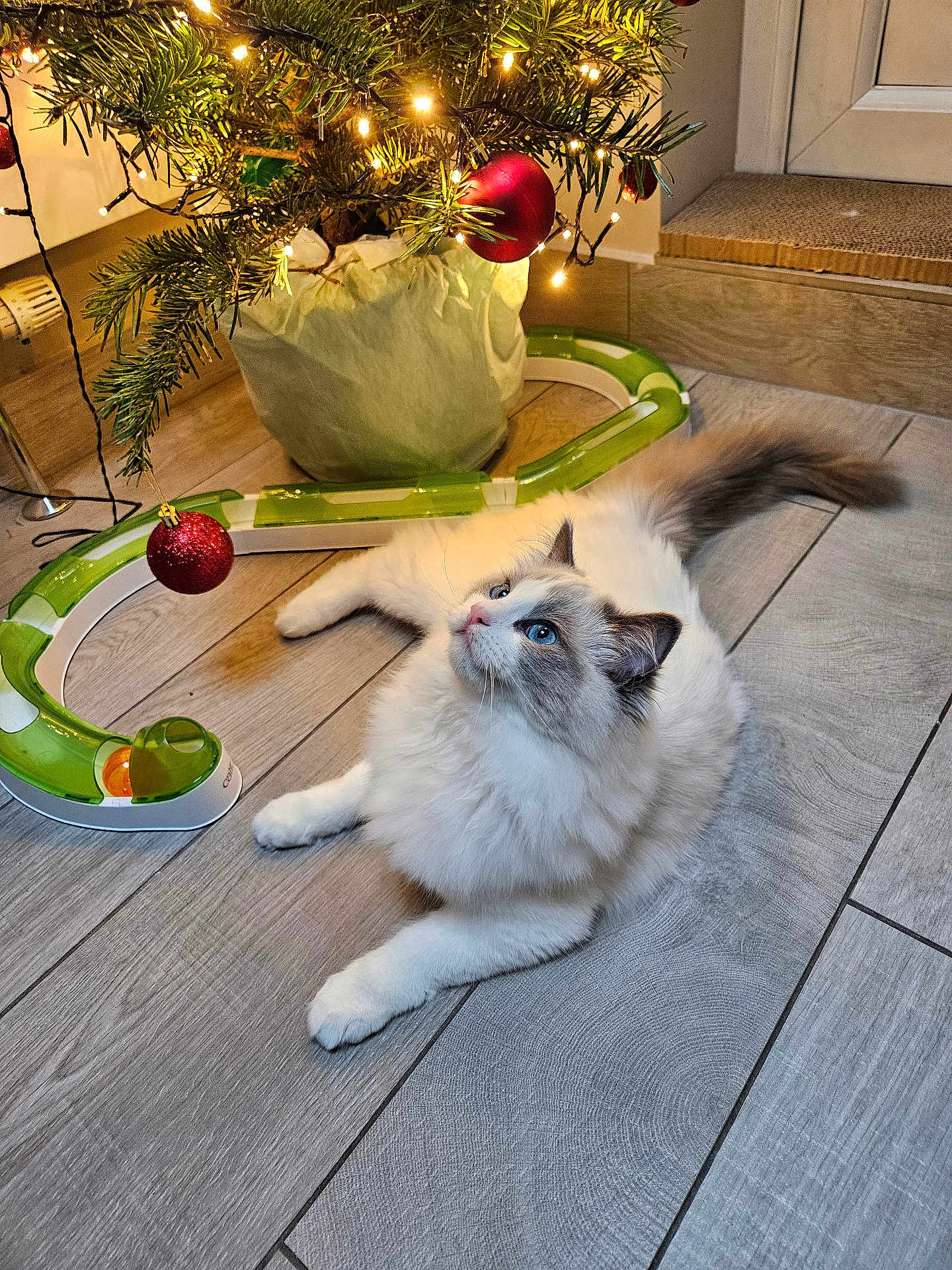 Mia