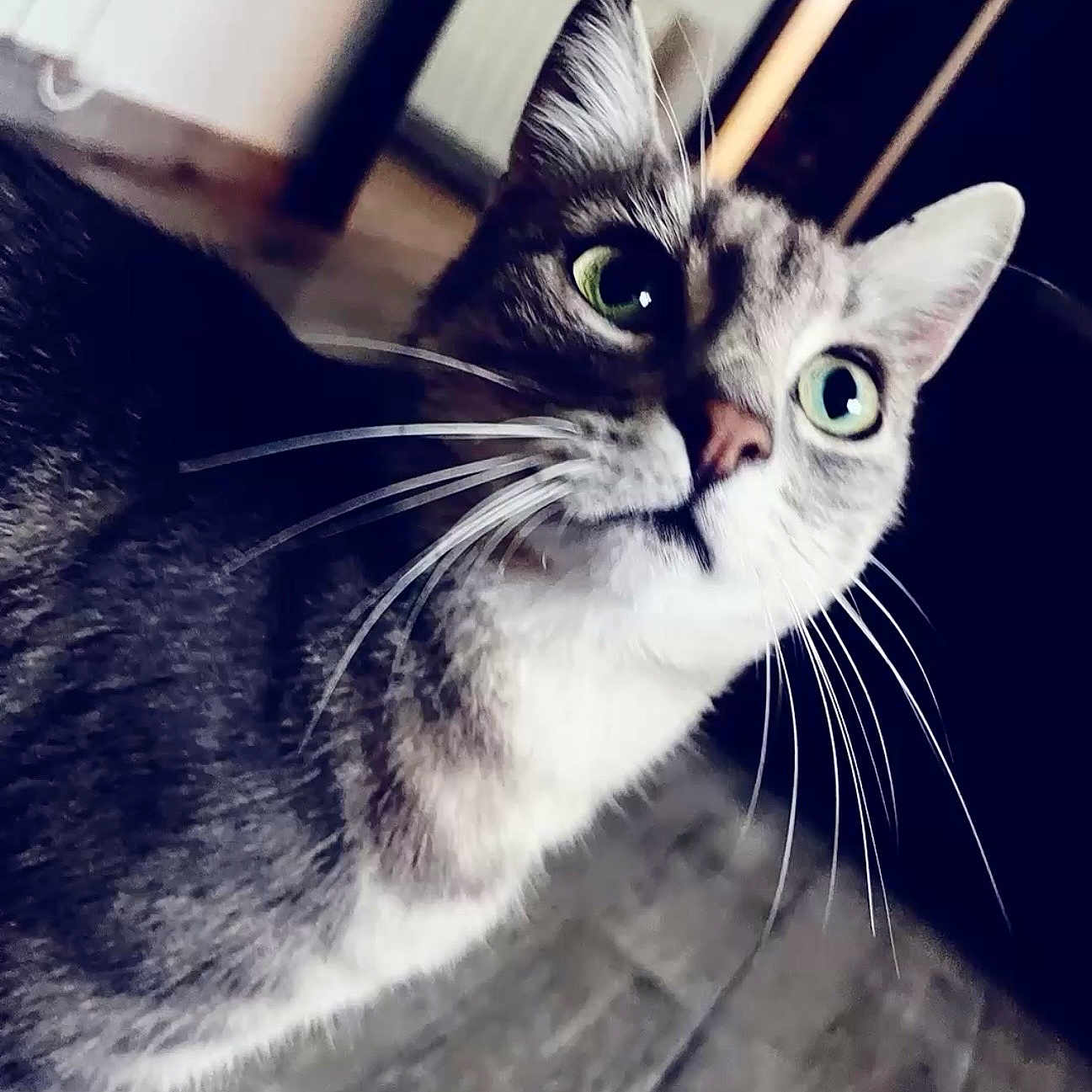 Lucy
